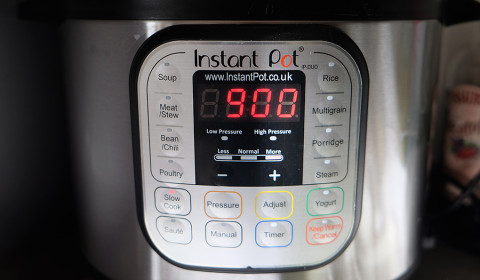 la Instant Pot impostata su 9 ore